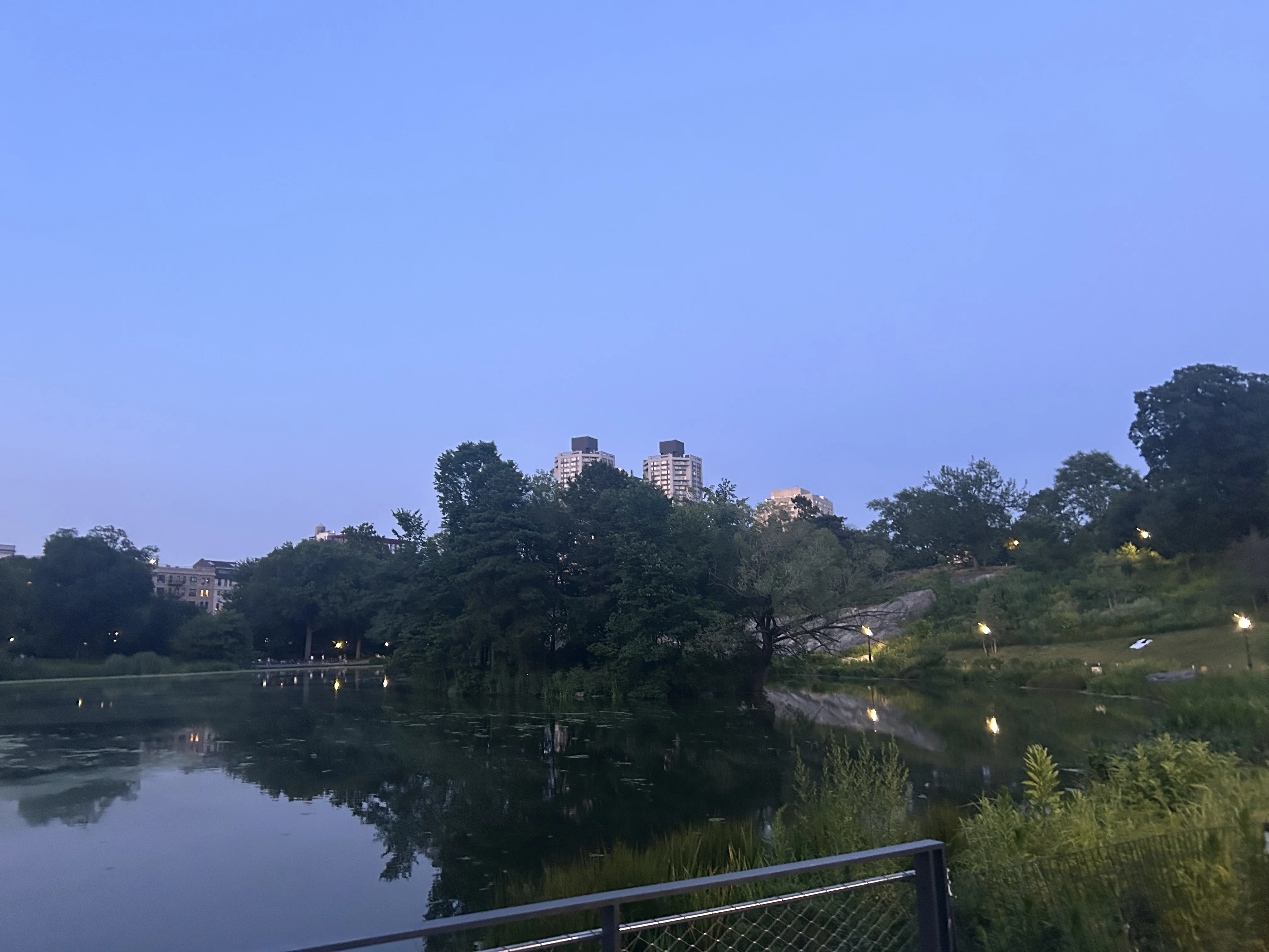 central park in the summer